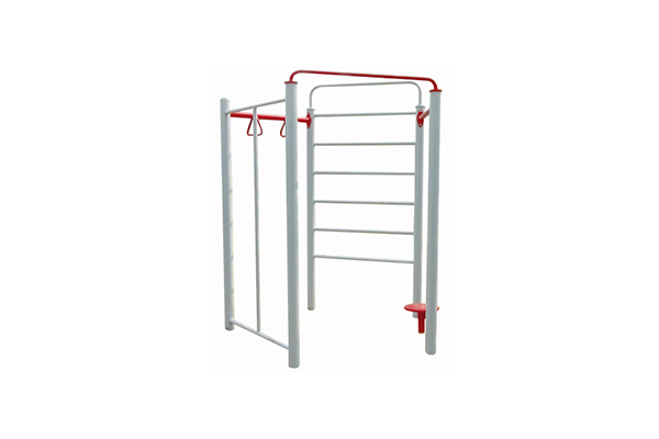 组合训练器(图1)