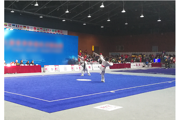 青少年武术场地二(图1) 青少年武术场地二(图1)