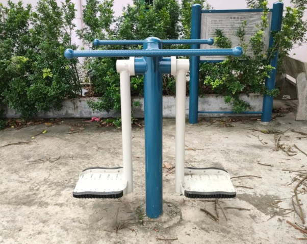 桂南村禾虾(图4) 桂南村禾虾(图4)