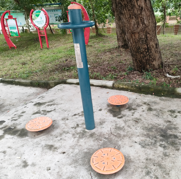 桂南村社贝(图4)