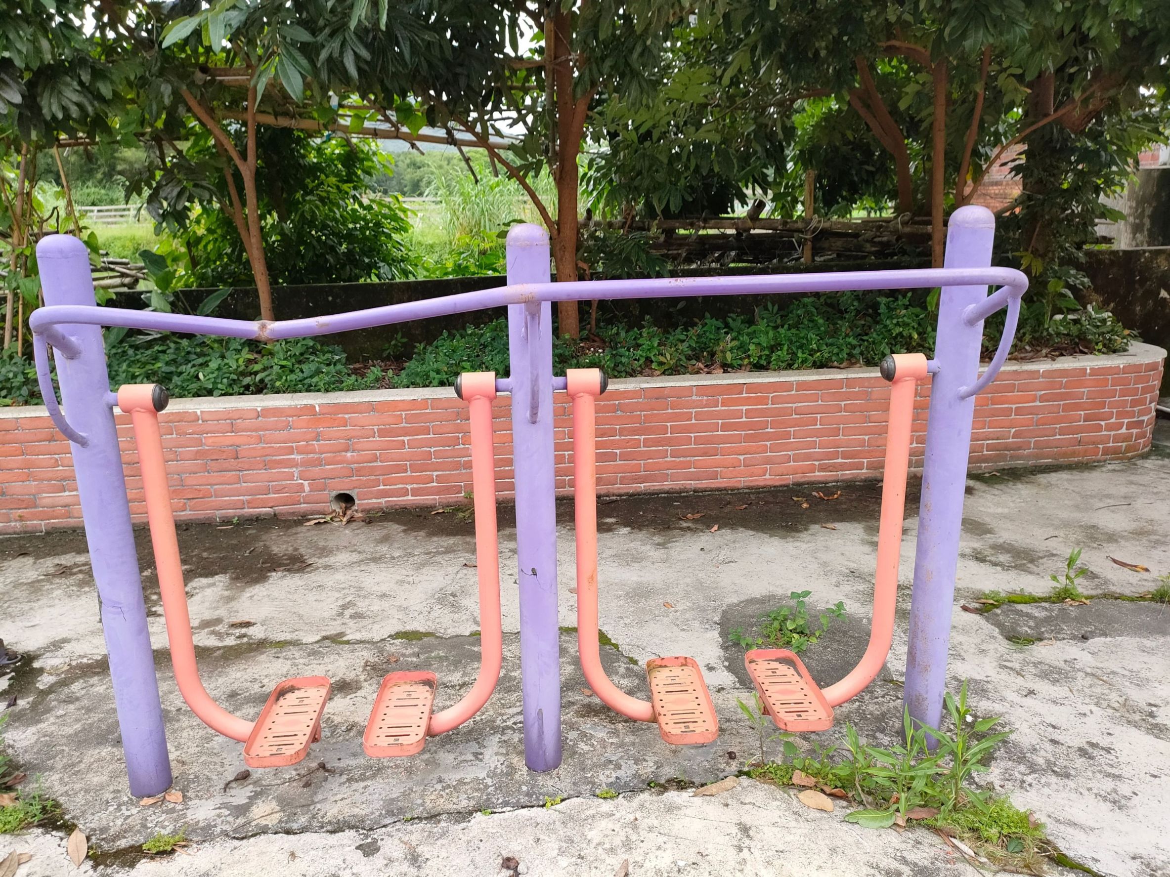 桂南村旗溪1(图1)