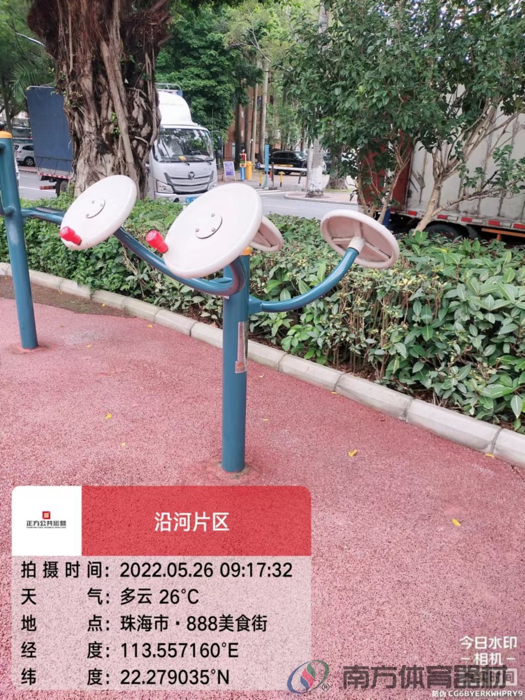 凤凰河社区公园银桦段(图8)