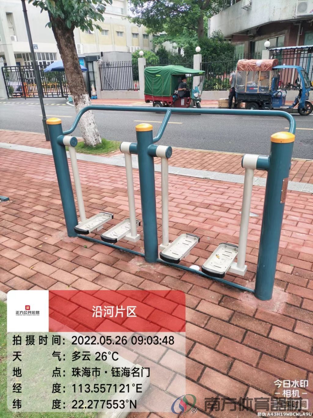 凤凰河社区公园银桦段(图10)