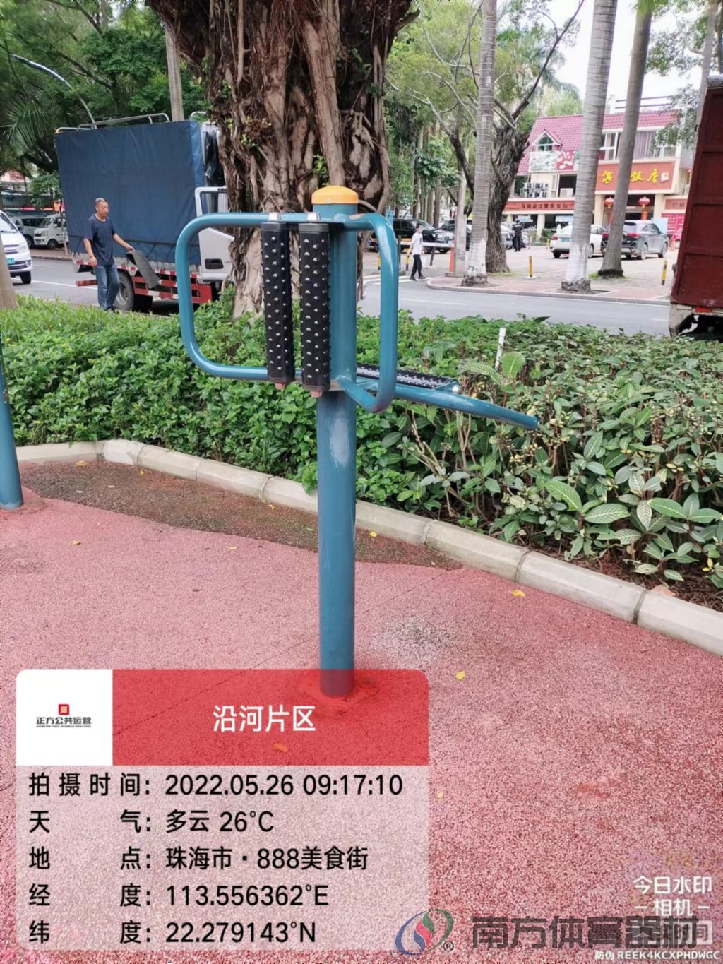 凤凰河社区公园银桦段(图25)