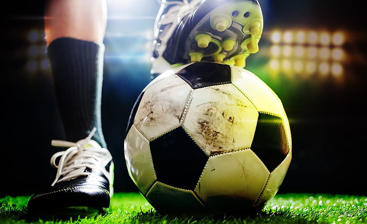 乒乓球台的长宽高为多少米